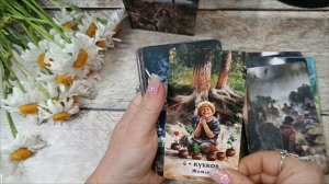 распаковка обзор карт таро издательства Велигор 🔮🥰