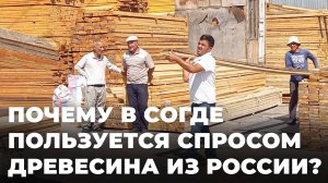 Спрос растет: как жители Согда используют древесину в быту?