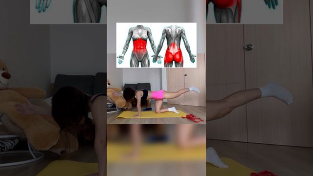 Универсальное упражнение смотреть онлайн