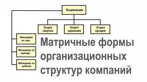 Матричные формы организационных структур компаний