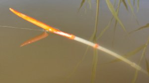 Крупный КАРАСЬ и СОМ на ПОПЛАВОК и ДОНКИ!!! Рыбалка весной на обычные снасти