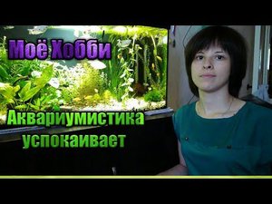 Моё Хобби - Аквариумистика