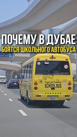 Почему в Дубае боятся школьного автобуса