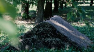 «Прогулка по городу»