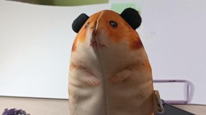 Хомяк Миша: сборник шортсов #1