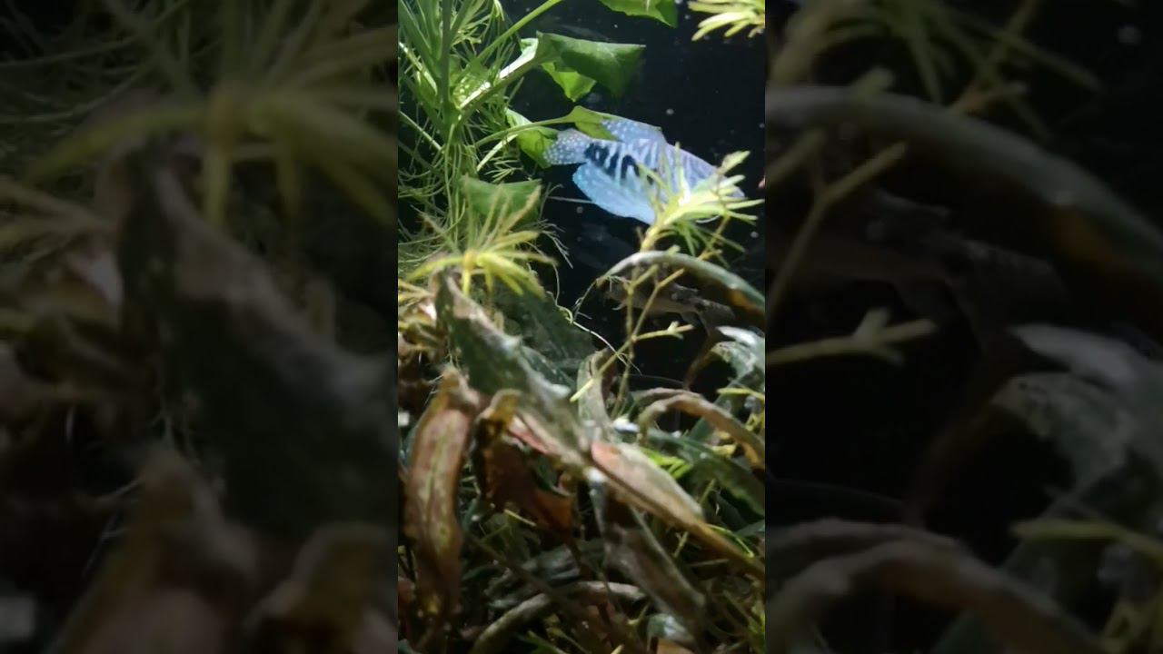 140 литров смотреть онлайн