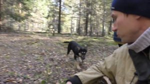 БЕЛЫЕ ГРИБЫ и ОТВЕЧАЮ НА КОММЕНТАРИИ!