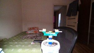 гитлер сидит на берёзке