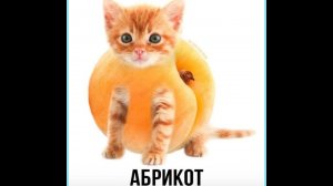Смешные соеденения!!! Абрикот #21