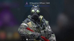 B Squadron Officer SAS skin csgo