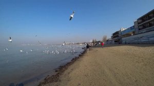 #Анапа #Погода ТАКОГО ЕЩЕ НЕ ВИДЕЛИ. НОЯБРЬ ЖАРА