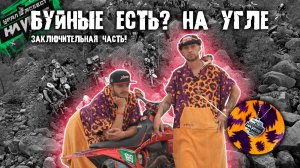 БУЙНЫЕ ЕСТЬ? НА УГЛЕ | ФИНАЛ | Максимальный эндуро тест для мотоциклов BSE!