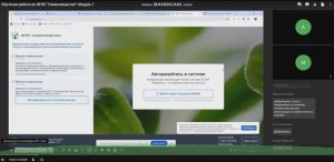 Работа в системе ФГИС «Семеноводство»