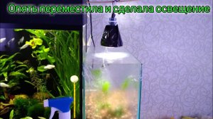 Сделала освещение для анубиасов