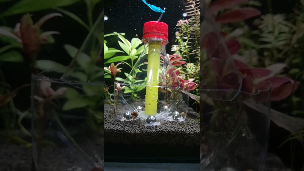 Ловушка для улиток смотреть онлайн