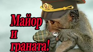 Майор и граната! 
Военная басня.
Чеченская реальность.