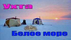 Рыбалка. Ухта, Белое Море.23Февраля 2024. Клев отличный #белоемореухта