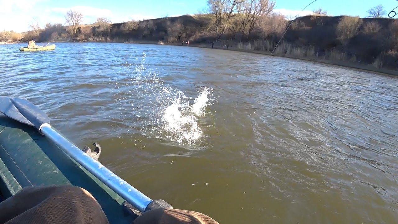 Крупняк ЛУПИТ - удочка В ДУГУ!! Рыбалка весной 2022, судак на спиннинг