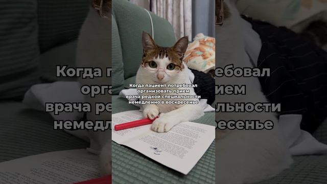Медцентры… как вы с этим справляетесь? #медицинскийюмор #редкийврач #пациенты