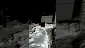 Новогодний вечер на даче