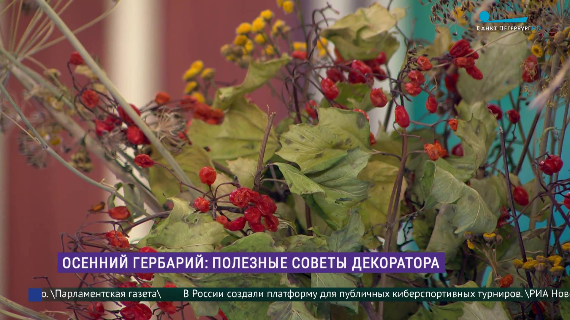 Осенний гербарий