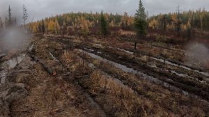 Проверка зимовий перед пушной охотой. часть 3