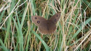 Щигры - уголок России. Фото Михаила Чулкова