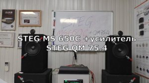 STEG MS 650C И STEG MS650. Тест,обзор,много музыки.