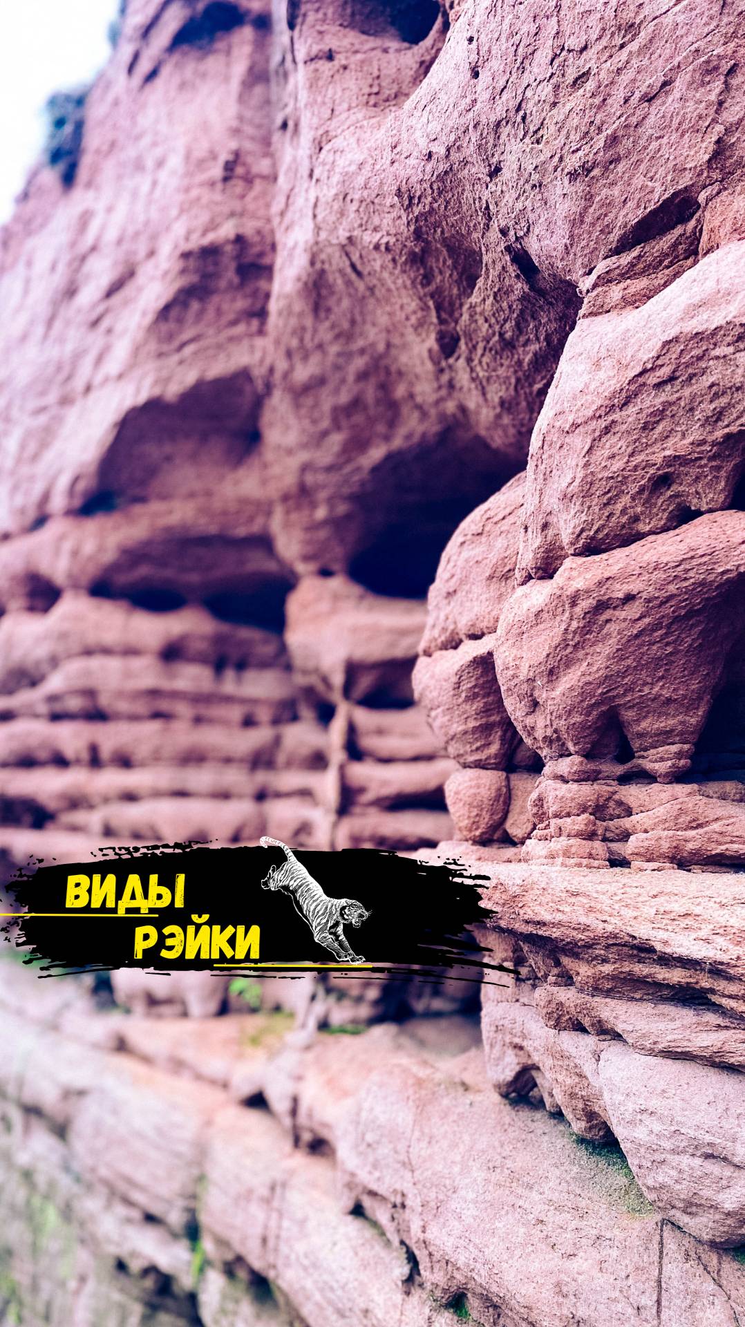 Виды рэйки.