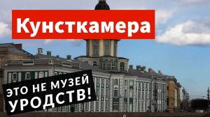 Кунсткамера за 9 минут. Музей антропологии и этнографии Петра I | Сходи Посмотри Санкт-Петербург