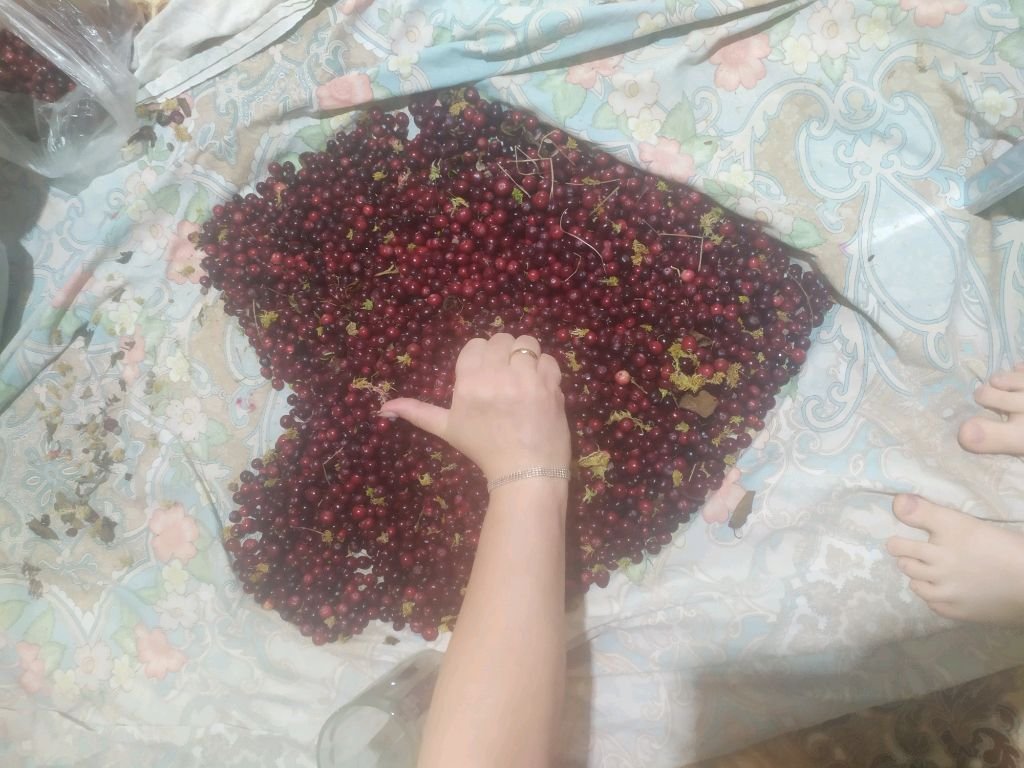 п