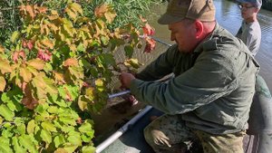 ДГК, продолжение следует. АМУР на подвесы