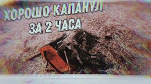 Удачный Металлокоп около леса. За металлом на приоре.