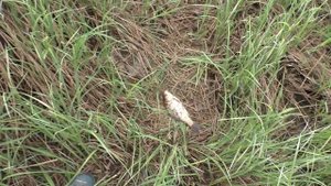 КРУПНЯК на удочку! Всей компашкой НА РЫБАЛКУ!