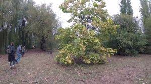 ОТСТРЕЛИЛ ЗОМБИ ХОЗЯЙСТВО. ЭПОХА МЕРТВЫХ, 3 СЕРИЯ // ZOMBIE AIRSOFT