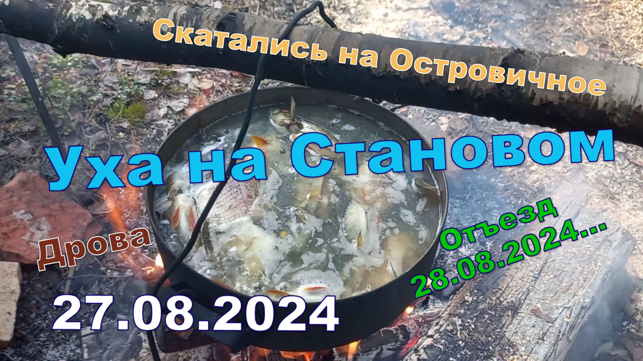 Уха на Становом. 27.08.2024. Дрова. Уезжаем.