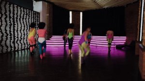 VIDMER DANCE - I WILL SURVIVE