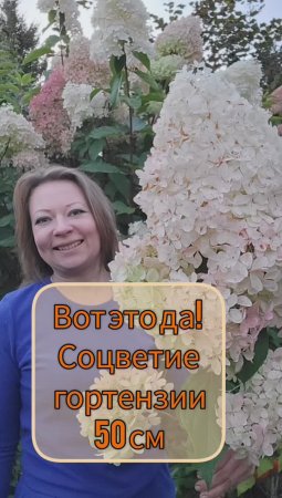 Вот это размер!