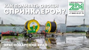 Полив овощей спринклером: как бороться с коркой. Отзыв о дождевальных машинах ЗДМ за 3 года работы