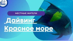 Обитатели Красного моря