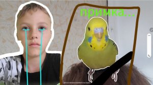 примы больше нет...