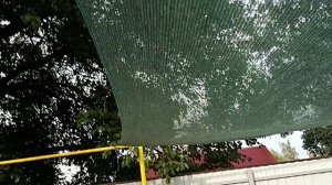 Приезжали дети. Творожная запеканка с карамельной грушей. Идеальный арбуз.