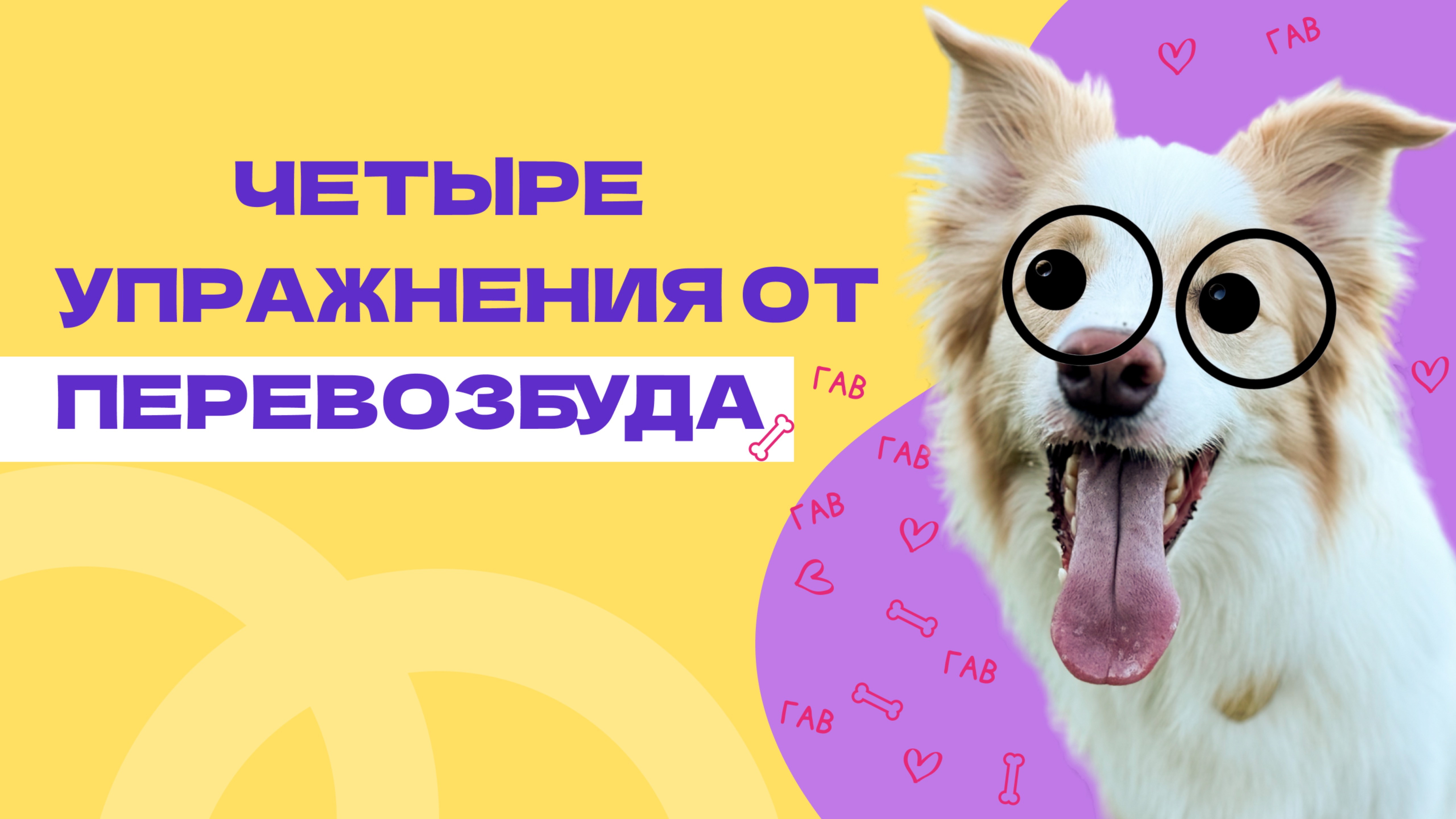 ПЕРЕВОЗБУЖДЕНИЕ У СОБАКИ как реагировать?
