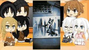 Реакция Зайчика/tiny bunny на тт 1/? ч.о