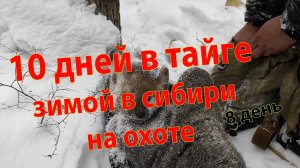 10 дней в тайге зимой на охоте в Сибири 8 день