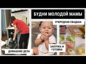 Домашние дела Простой ужин Куда переселяют после сноса дома в Коломне?️ Наш день с Алисой☀️