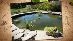 Декоративный пруд своими руками