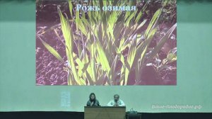 Сидераты, мульча и компания