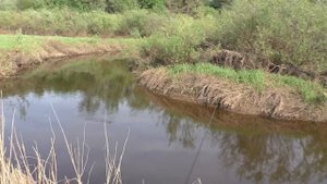 РЫБАЛКА НА УДОЧКУ НА мини речке! ЭТА РЕЧКА ПОЛНА СЮРПРИЗОВ!