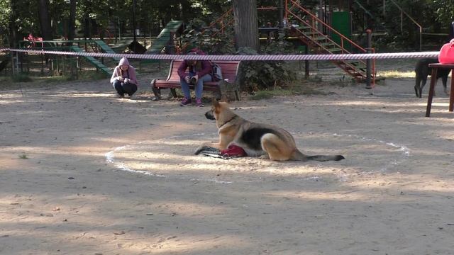 ОКД_Петровский Талисман Барселона